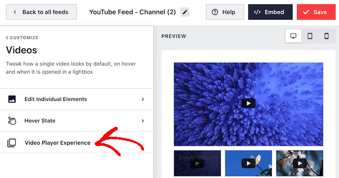 Customizing the YouTube video player experience