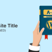 What is a website title?