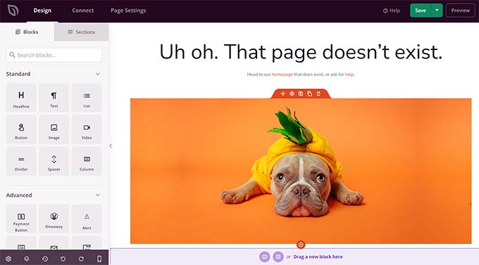 Create 404 page using SeedProd