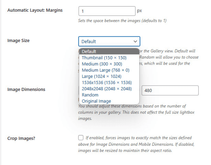 Image size in Envira Gallery