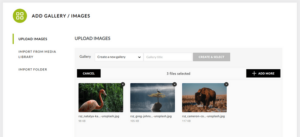Which is the Best WordPress Gallery Plugin? (Performance Compared)
