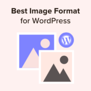 Best image formats for WordPress