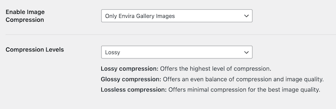 Optimizing your image galleries using Envira Gallery