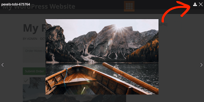Adding a download button to your images using Envira Gallery
