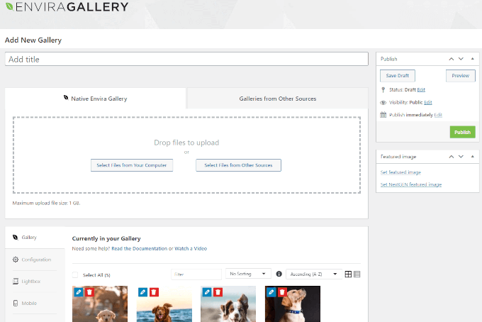 Envira Gallery interface