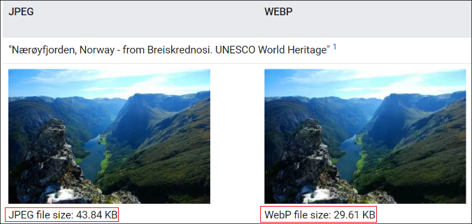 JPEG vs WebP format
