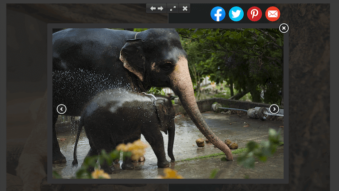 Adding social sharing buttons to a WordPress gallery