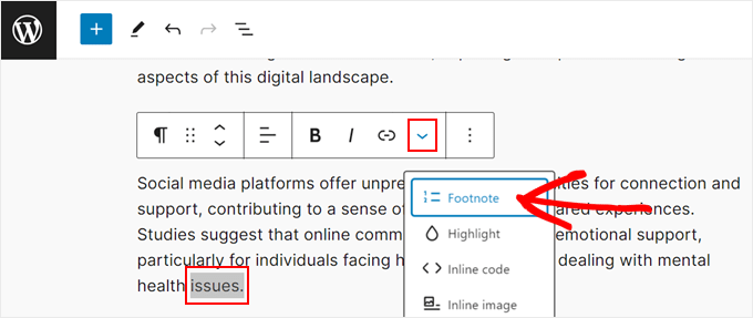 Adding a footnote to a text in the WordPress block editor