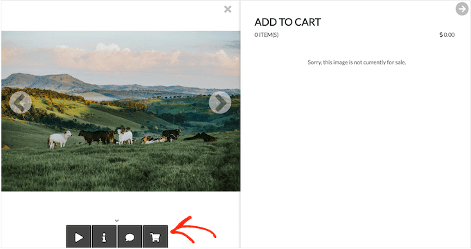 How to sell your images online using a gallery plugin