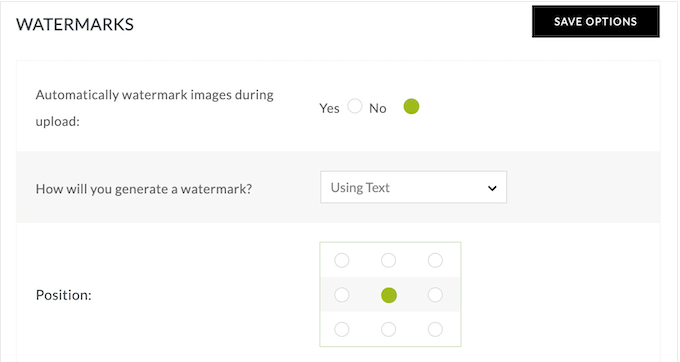 Adding image and text watermarks to original content in WordPress