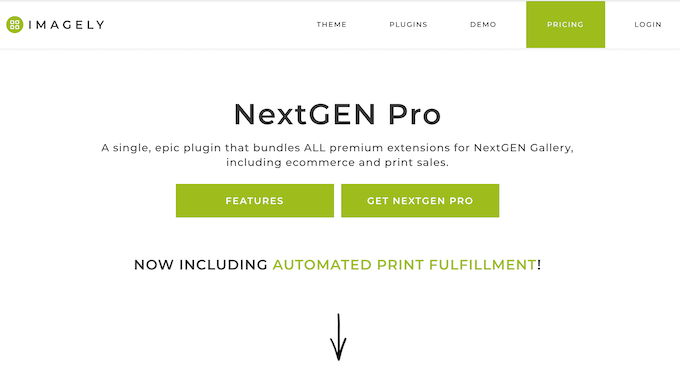 Is NextGEN Gallery the right gallery plugin for your WordPress website?