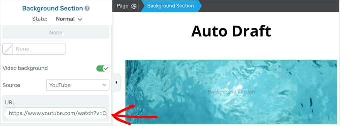 Pasting video background URL in Thrive Architect