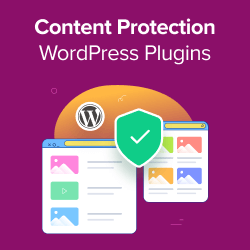 Best WordPress Content Protection Plugins