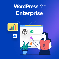 WordPress for Enterprise: Tips you should know