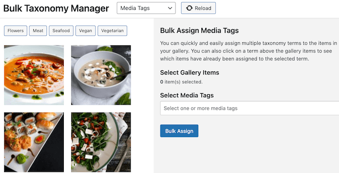 FooGallery's Bulk Taxonomy Manager