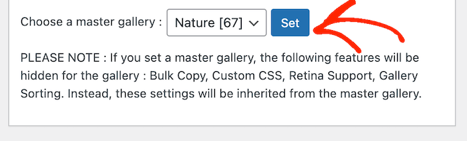 Creating a master gallery for your WordPress website