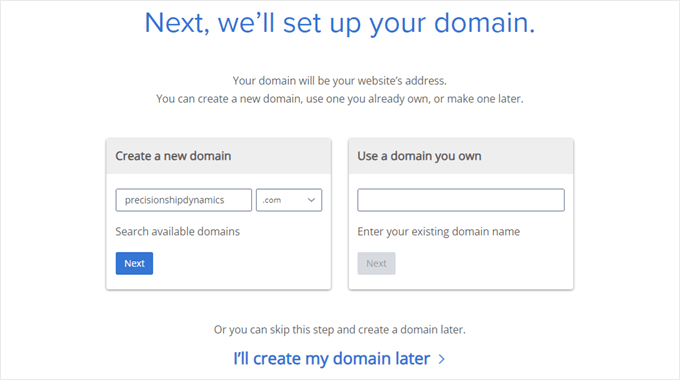 Choosing a logistics website domain name in Bluehost