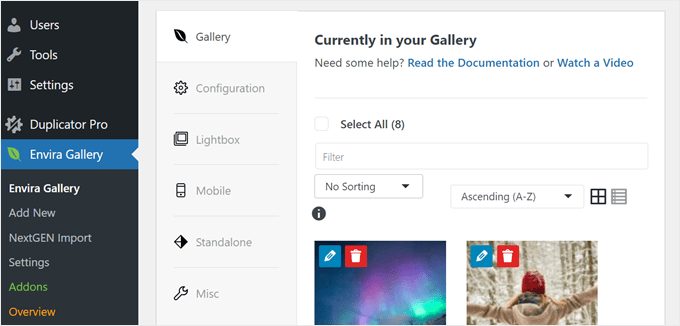 Configuring Envira's Gallery settings
