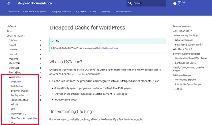 LiteSpeed Cache support section