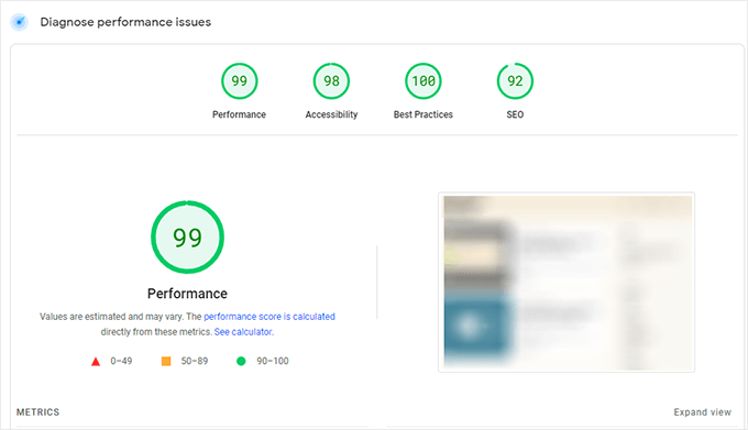 Page Speed Insights score for WP Rocket