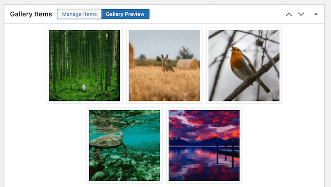 Previewing a gallery in the WordPress dashboard