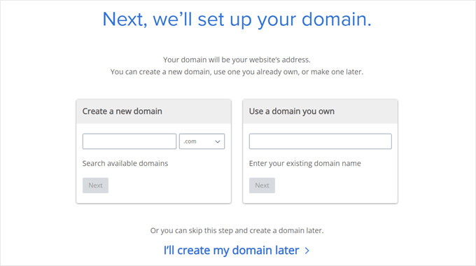 Bluehost buy domain name