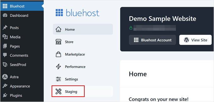Navigating to the Staging tab in the Bluehost plugin page inside WordPress