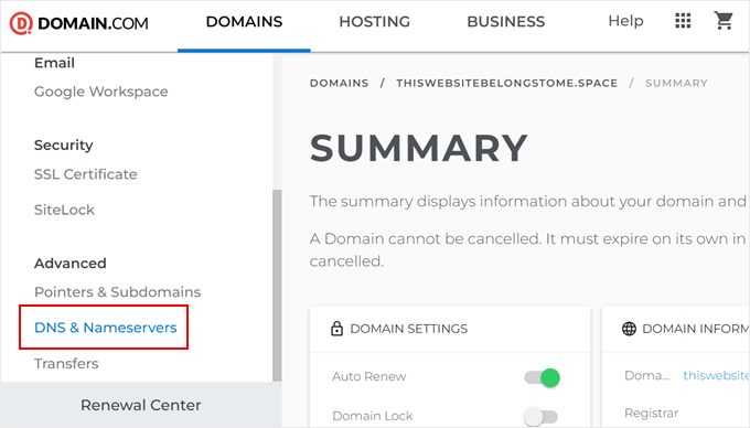 Domain.com's DNS and Nameservers settings
