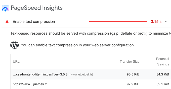 Google PageSpeed Insights Recommends Using Gzip Compression