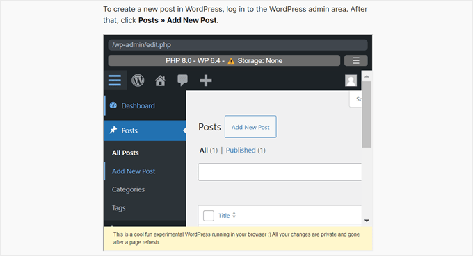 What the WordPress Playground iFrame code looks like on the front end when it's aligned