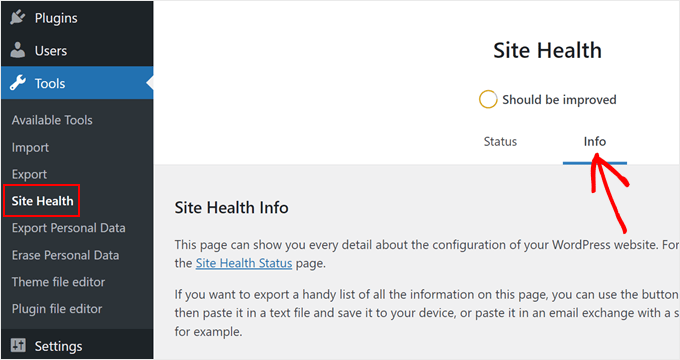 Opening the Info tab inside the Site Health menu in the WordPress admin area
