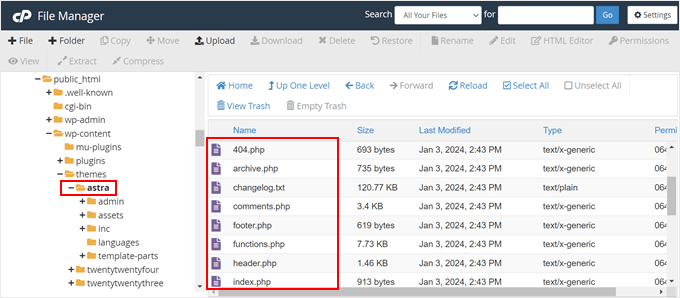 An example of what the WordPress theme files look like in the Bluehost file manager