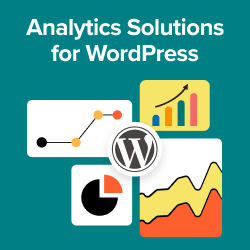 Best Analytics Solutions for WordPress Users