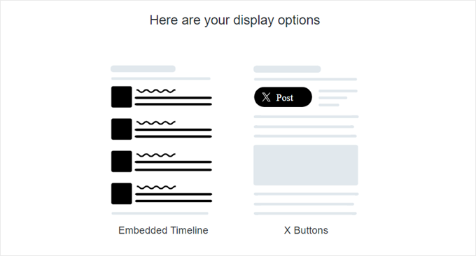Twitter Publish's display options