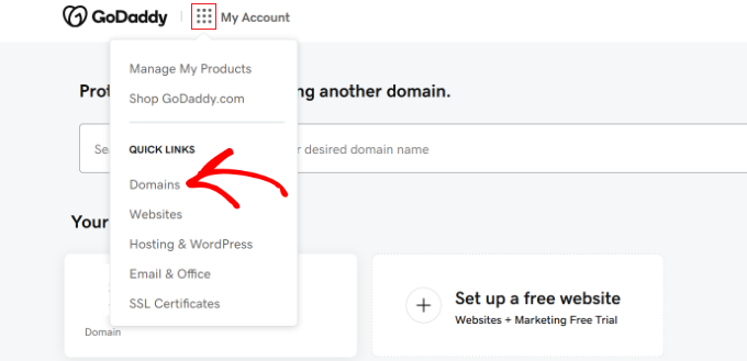 Go to domains in GoDaddy