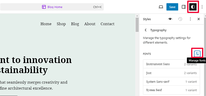 Managing fonts library in WordPress 6.5