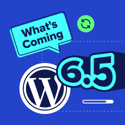 What's Coming in WordPress 6.5 (Features and Screenshots)