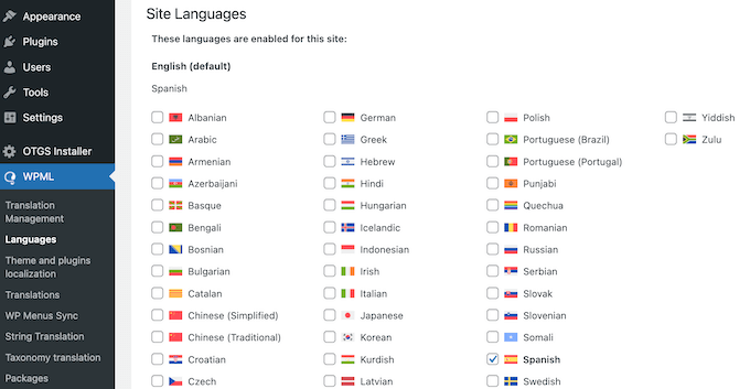 WPML Review: Is It The Right Multilingual Plugin For You?