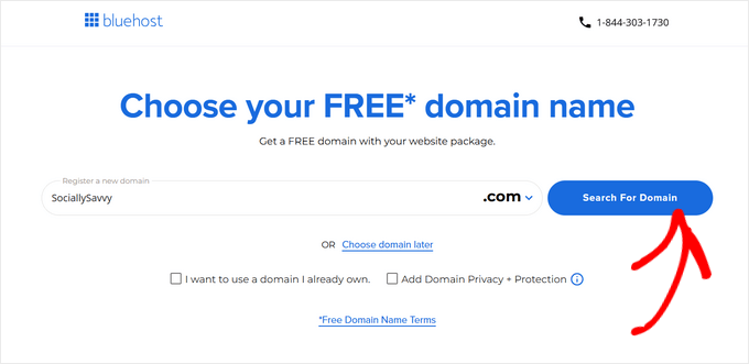 Choose a domain name for your social media website