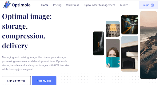 Optimole review: the right image optimization plugin for you?