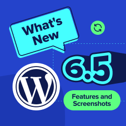 What's New in WordPress 6.5 (Features and Screenshots)