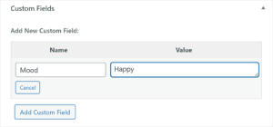What are Custom Fields in WordPress?