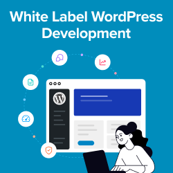 How to White Label WordPress Development for Digital Agencies