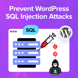 How to Prevent WordPress SQL Injection Attacks