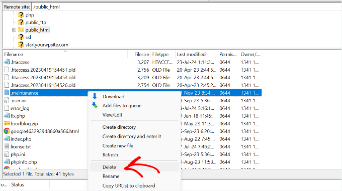 Delete maintenance file from root folder Delete maintenance file from root folder