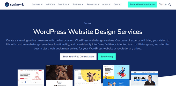 Servicii de web design Seahawk