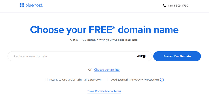 Choose a domain name for your nonprofit website