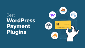 11 Best Wordpress Payment Plugins Tested Verified