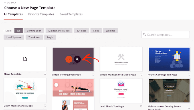Professionell gestaltete Vorlagen, bereitgestellt von SeedProd