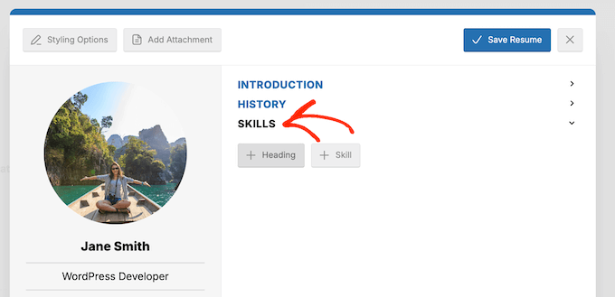 Hinzufügen von Fähigkeiten zu einem professionellen Profil auf Ihrer WordPress-Website oder Ihrem Blog